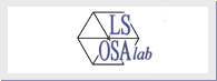 Banner progetto LSOsa